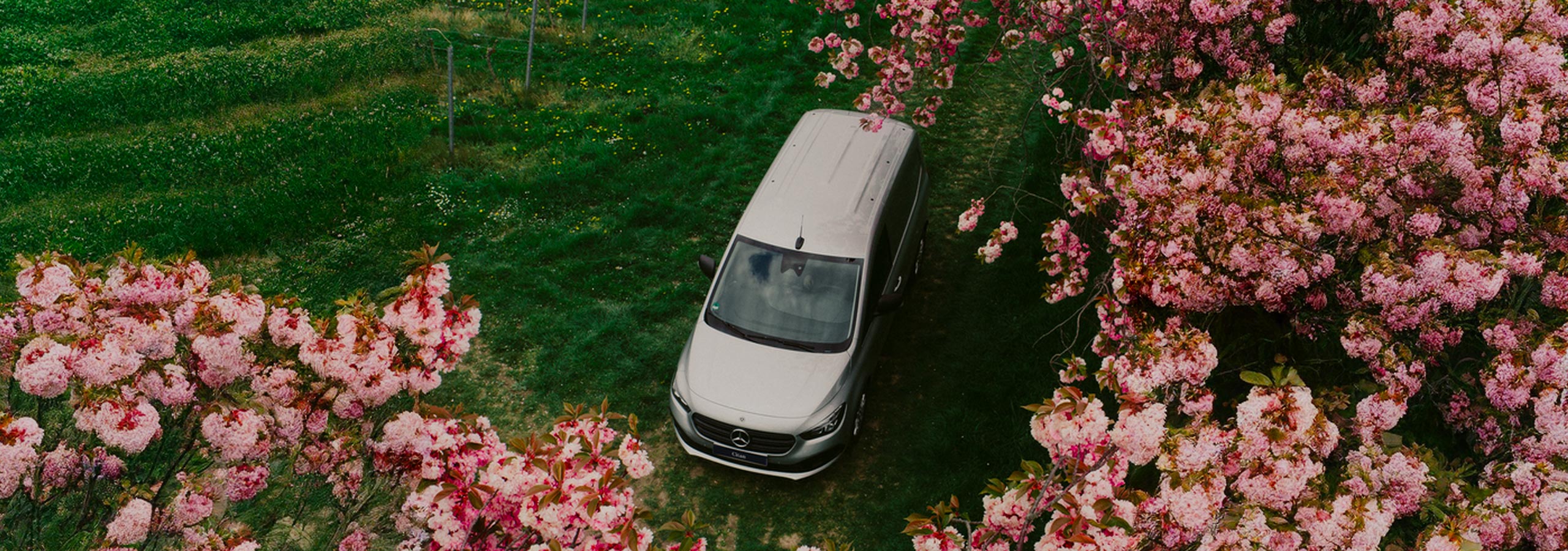 printemps-vans-mercedes-02